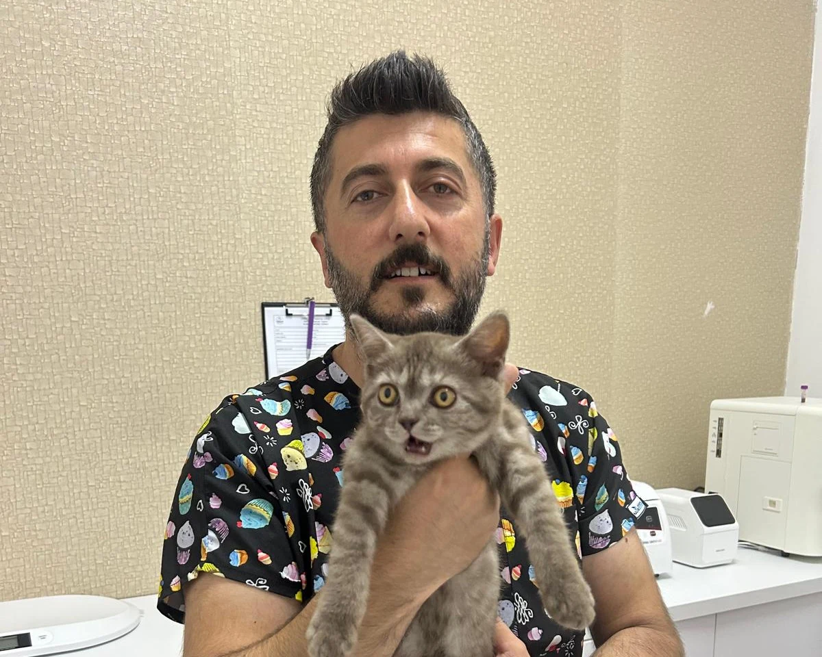 VetEkspress ameliyat sonrası takipte veteriner hekim ve kedi