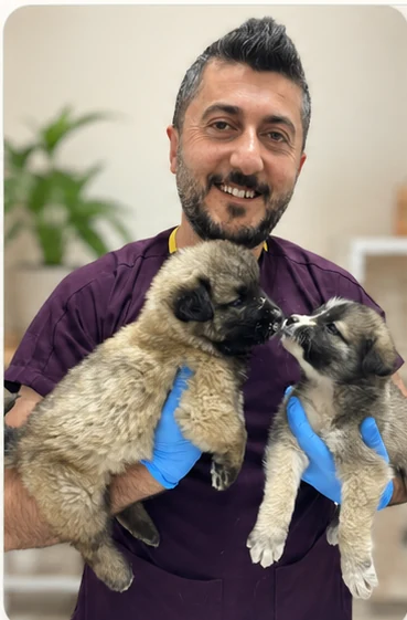 Veteriner Hekim Sercan TAŞTAN iki yavru köpekle